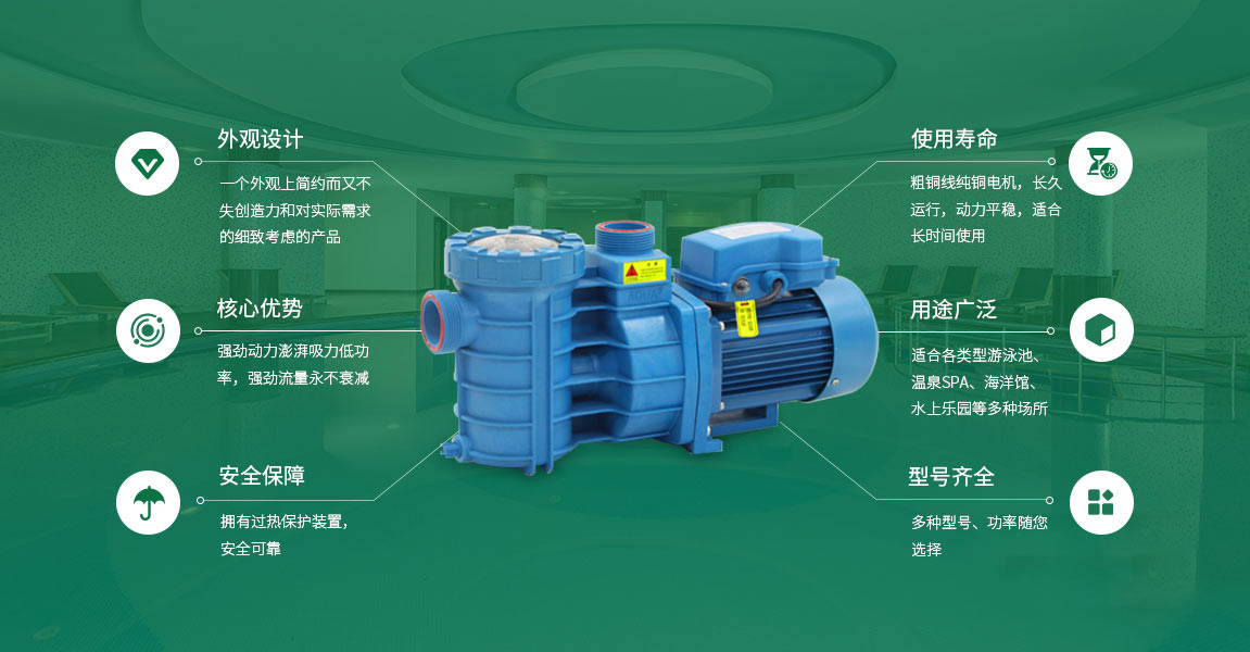 愛(ài)克泳池水泵